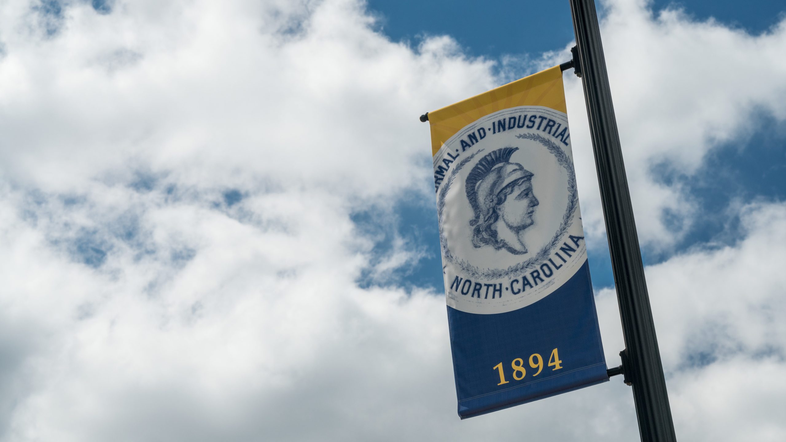 Woman's College Banner