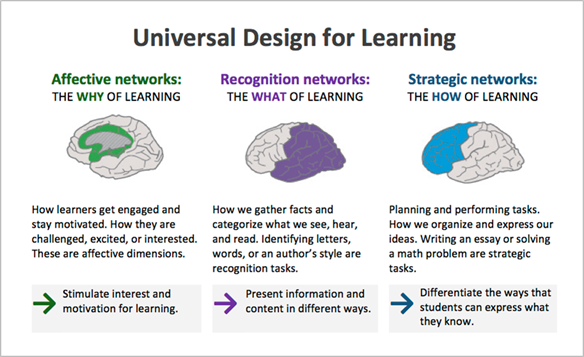 three brains outlining the three areas of UDL and the brain: affective networks (the why of learning: engaging and stimulating learners), recognition networks (the what of learning: presenting information and navigating knowledge), strategic networks (the how of learning: differentiate how learners demonstrate learning).